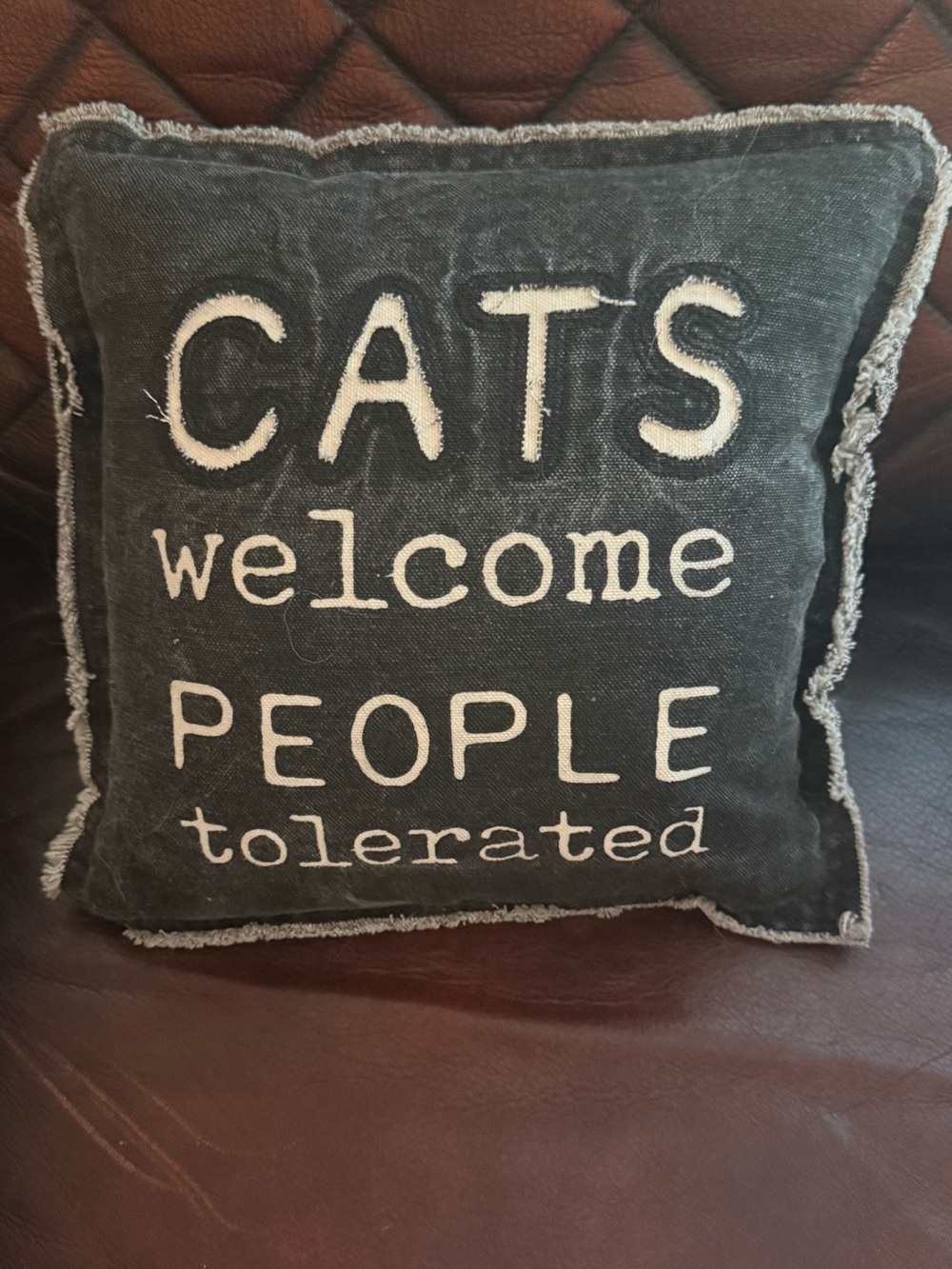 Cat Decor Pillow 'Cats Welcome People Tolerated' Mud Pie Brand